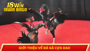 Giới thiệu về đá gà cựa dao