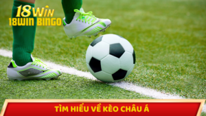 Tìm hiểu về các loại kèo Châu Á